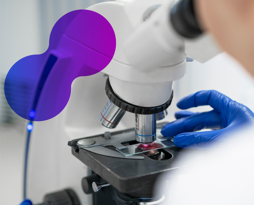 Proyectamos el mejor futuro