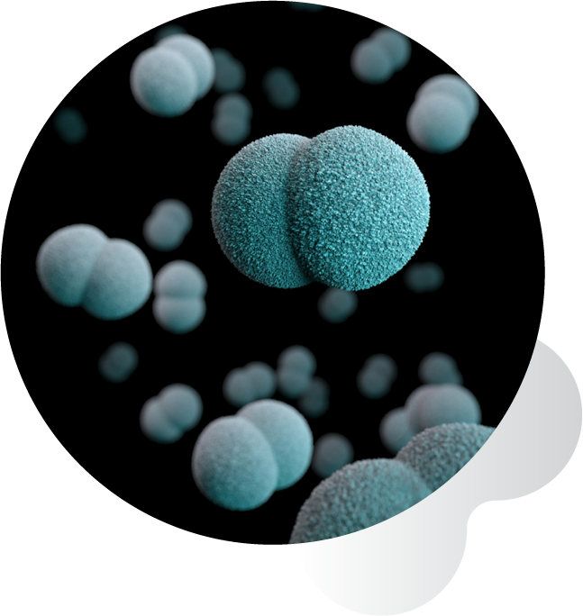 Proyectamos el mejor futuro