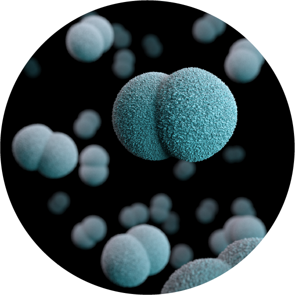 Proyectamos el mejor futuro