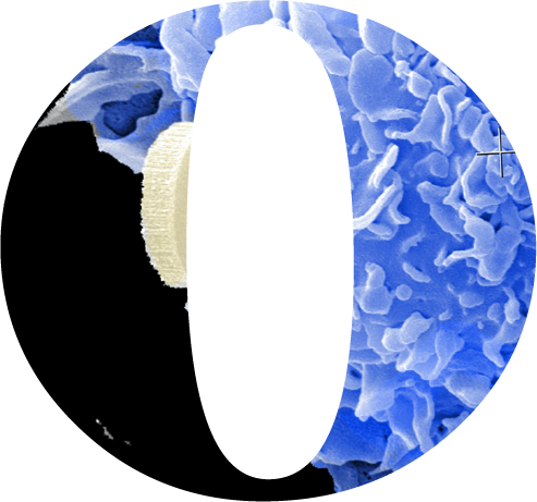 Proyectamos el mejor futuro